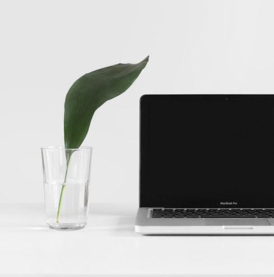 Workspace with laptop